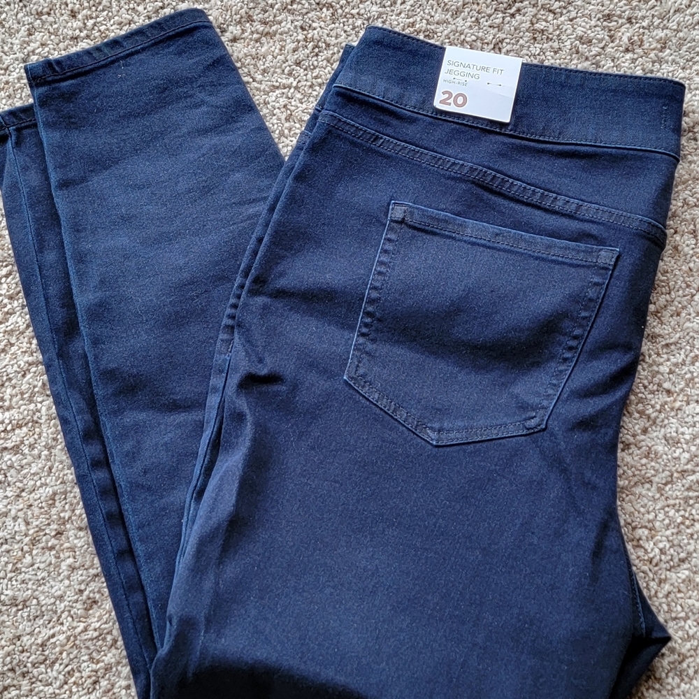 Lane Bryant Jean Jeggings